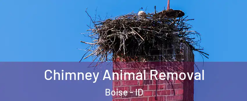  Chimney Animal Removal Boise - ID
