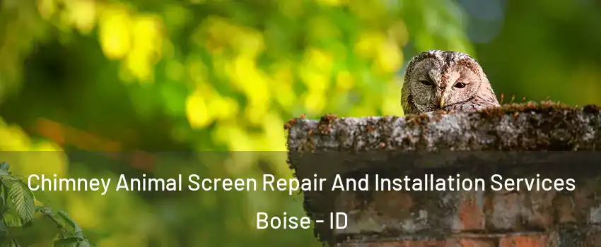  Chimney Animal Screen Repair And Installation Services Boise - ID