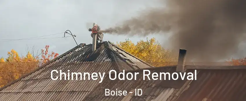  Chimney Odor Removal Boise - ID