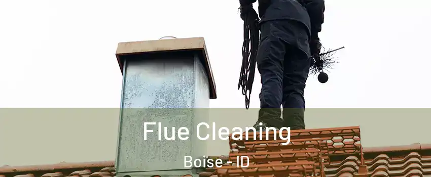  Flue Cleaning Boise - ID