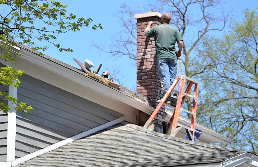 Chimney & Fireplace Inspections Services in Boise, ID