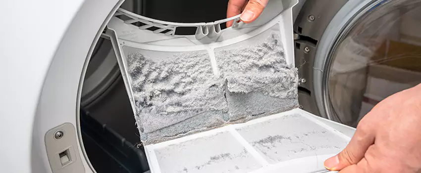 Best Dryer Lint Removal Company in Boise, Idaho