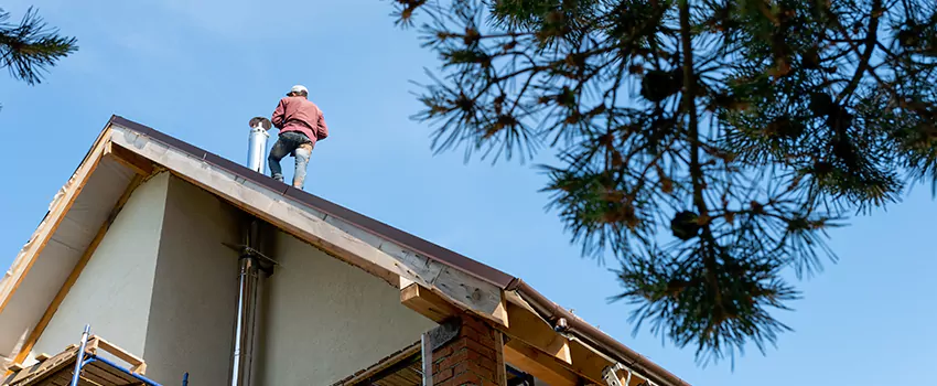 Birds Removal Contractors from Chimney in Boise, ID