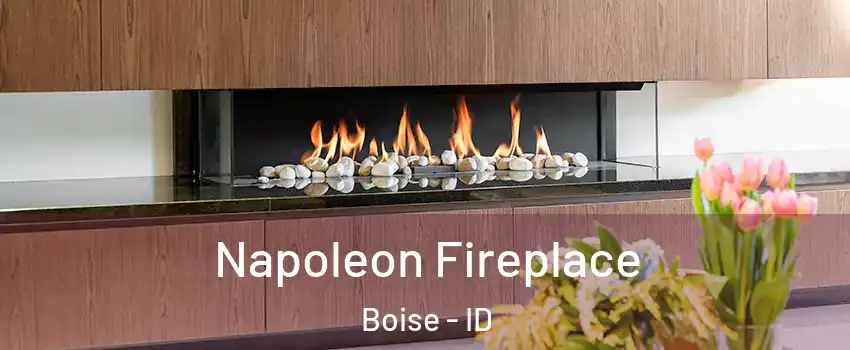  Napoleon Fireplace Boise - ID
